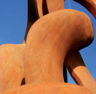 Exposition - "Arbor Vitae" par Jérémie Langer 
