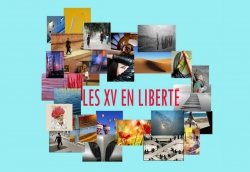 « Les XV du Poitou en liberté » - Exposition de photographies