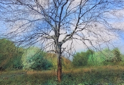 « Les arbres de la Vienne » par les Arboréalistes - Peintures, gravures, dessins