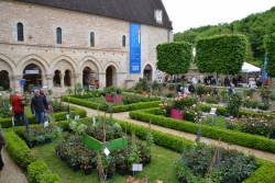 « LES FLEURS DE MAI » le marché aux fleurs de Saint-Benoit 2022