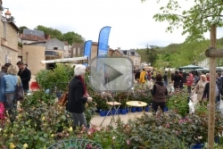 Vidéo du Marché aux Fleurs de Saint-Benoît