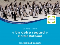 EXPOSITION  « Un autre regard »  Gérald Buthaud