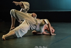 Spectacle de Flex Pointe