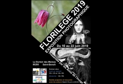 Florilège 2019 - Exposition photographique par les Amis de l'Image