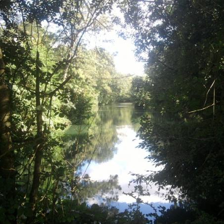 la Clain, un cours d'eau qui invite à l'aventure