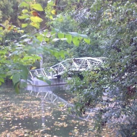 la passerelle de la varenne.