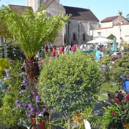 Marché aux Fleurs 2