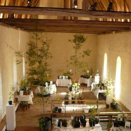 Marché aux Fleurs 3