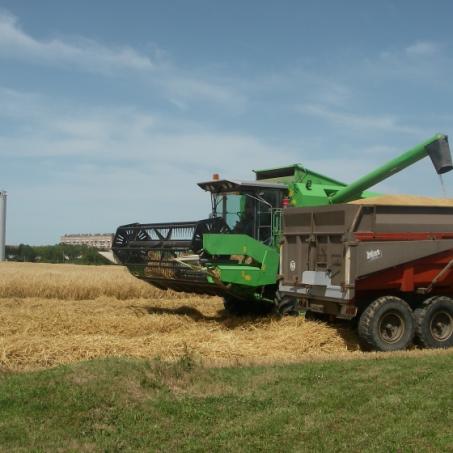 juin2012-moissons au champ de la Caille