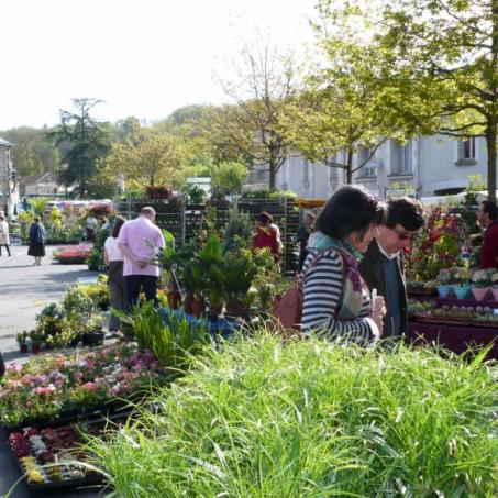 Marché aux Fleurs 4