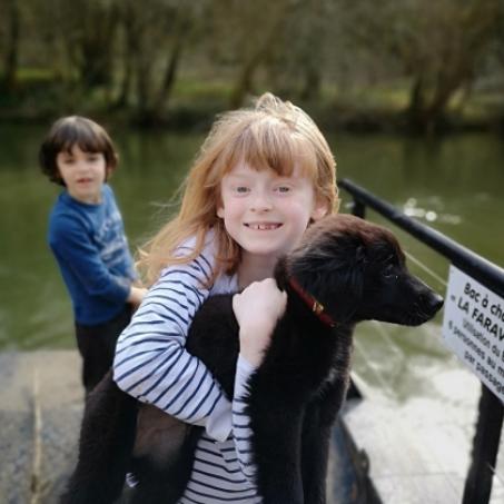 Faravelle / bac à chaîne