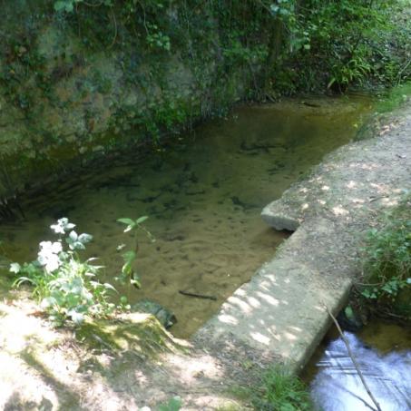 Source en contre-bas de l'Ermitage