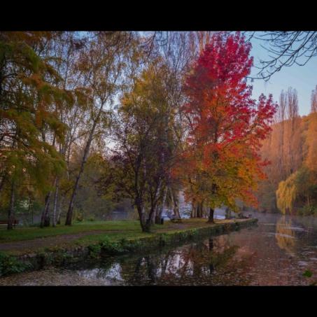 Le Clain en robe d'automne
