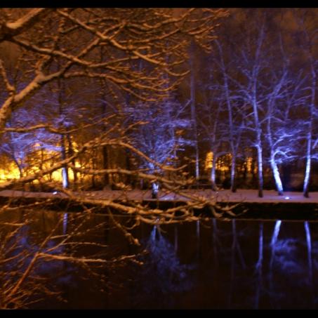 Bord du Clain la nuit