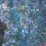 Grotte en pierre site accrobranche