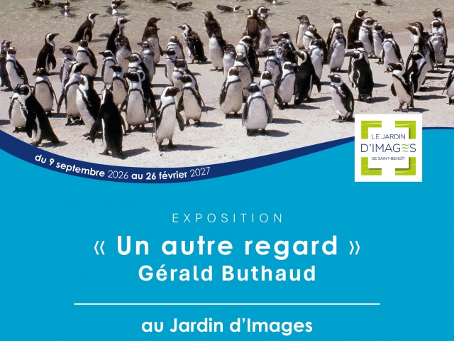 EXPOSITION  « Un autre regard »  Gérald Buthaud