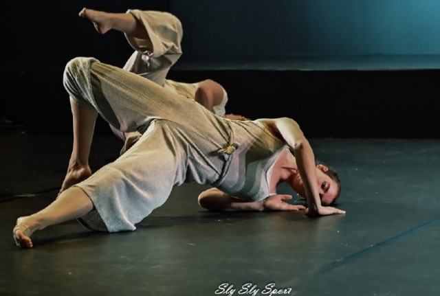 Spectacle de Flex Pointe