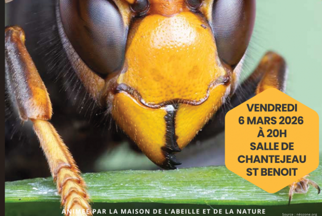 Frelon Asiatique : Réunion d'information et lutte contre les nids